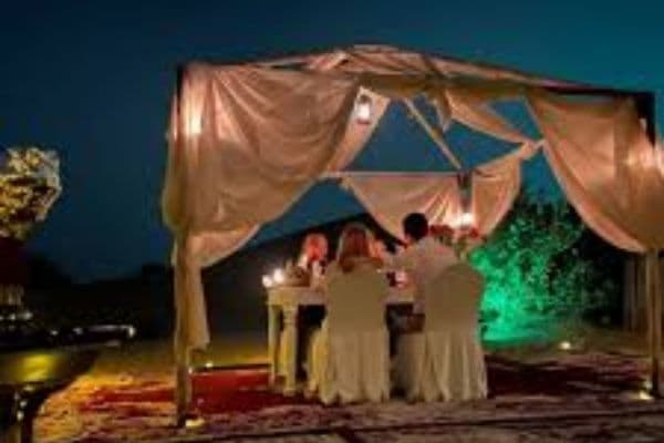 Safari & Private Dinner